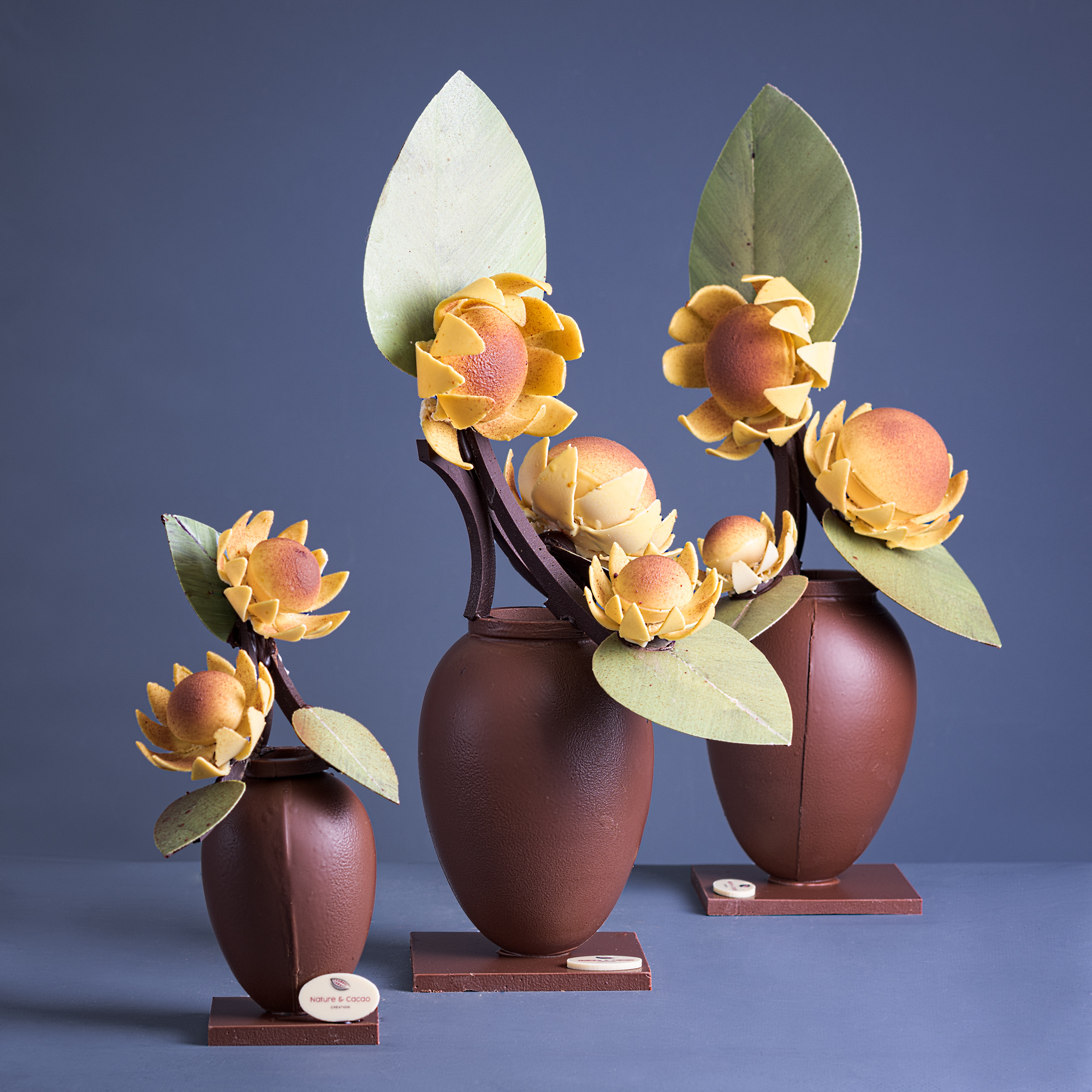Pixellie_-copy-Emilie-Munck-Montuclard-_PACKSHOT_NATURE-ET-CACAO_00038